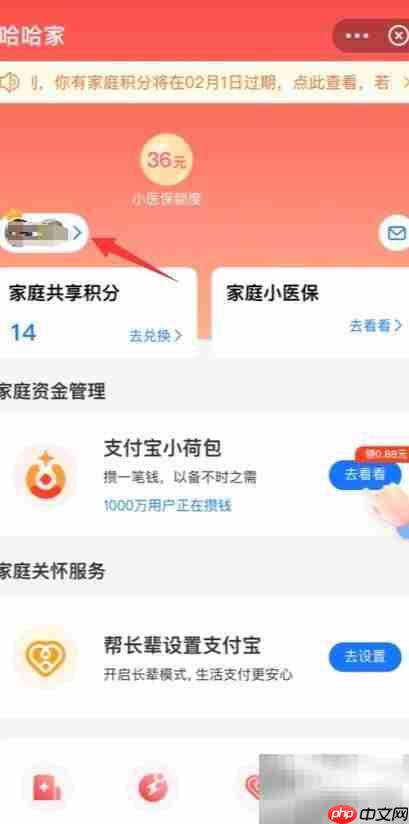 支付宝创建家庭群指南
