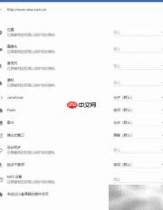 网页Flash控件设置指南