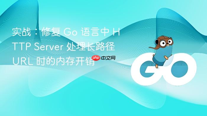 实战：修复 go 语言中 http server 处理长路径 url 时的内存开销