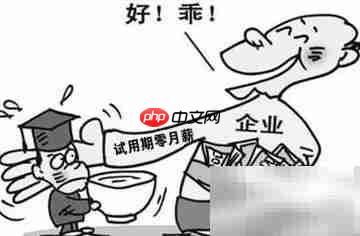 试用期规定全解析