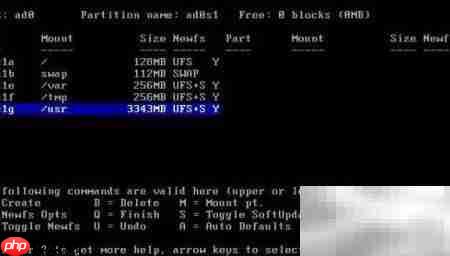 FreeBSD 6.2 安装指南