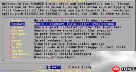 FreeBSD 6.2 安装指南