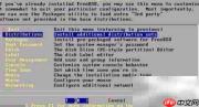 FreeBSD 6.2 安装指南