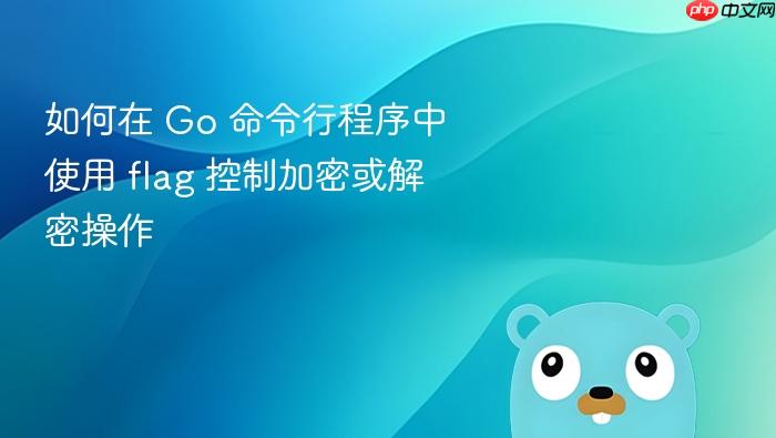 如何在 Go 命令行程序中使用 flag 控制加密或解密操作