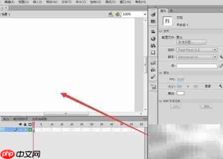 Flash简单数据类型声明方法