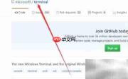 Windows Terminal安装指南