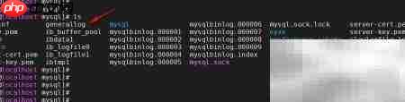 MySQL通用查询日志配置