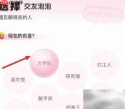 火花Chat交友泡泡设置指南