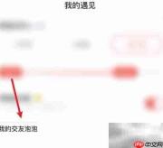 火花Chat交友泡泡设置指南