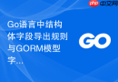 Go语言中结构体字段导出规则与GORM模型字段访问问题详解