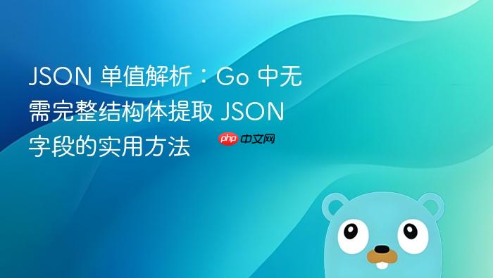 JSON 单值解析:Go 中无需完整结构体提取 JSON 字段的实用方法