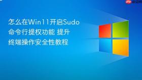 怎么在win11开启sudo命令行提权功能 提升终端操作安全性教程