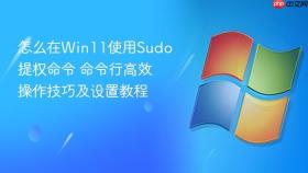 怎么在win11使用sudo提权命令 命令行高效操作技巧及设置教程