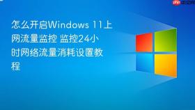 怎么开启Windows 11上网流量监控 监控24小时网络流量消耗设置教程