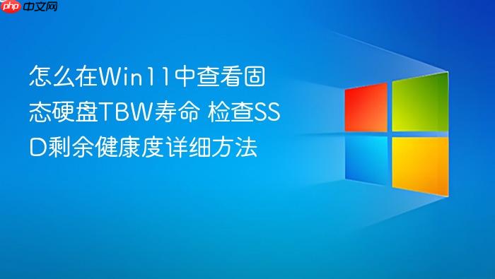 怎么在win11中查看固态硬盘tbw寿命 检查ssd剩余健康度详细方法