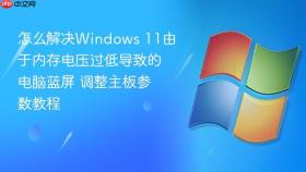 怎么解决windows 11由于内存电压过低导致的电脑蓝屏 调整主板参数教程