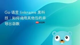 go 语言 linkname 黑科技：如何调用其他包的非导出函数
