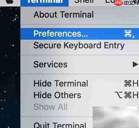 自定义OSX Terminal美化指南