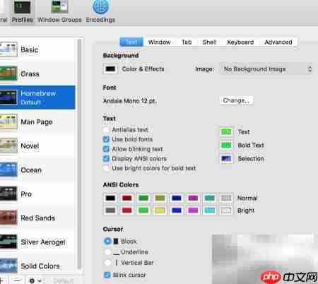 自定义OSX Terminal美化指南