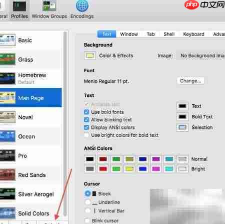自定义OSX Terminal美化指南
