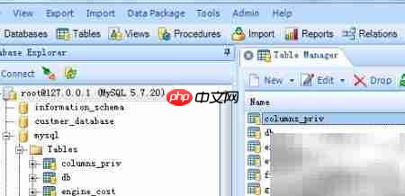 Database Master删除表记录指南