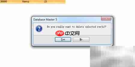 Database Master删除表记录指南