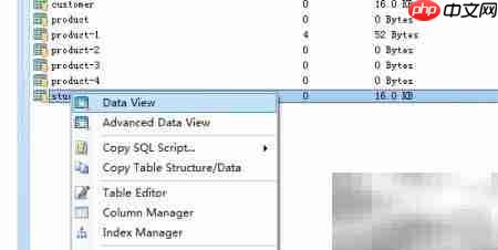 Database Master删除表记录指南