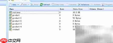Database Master删除表记录指南