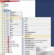 SQL Server导出数据库脚本方法