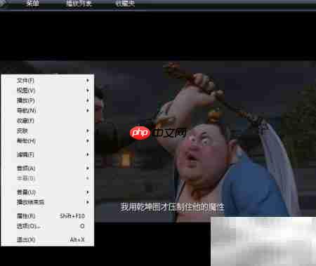 huplayer保存图像功能使用指南