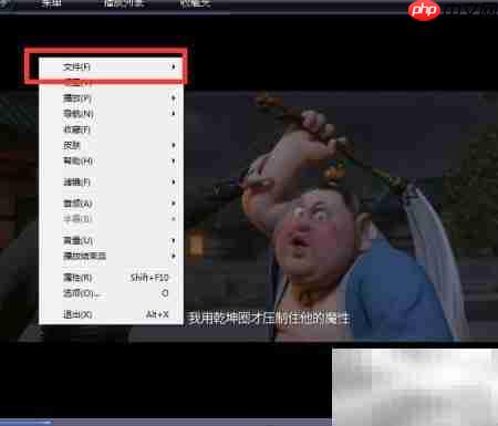 huplayer保存图像功能使用指南