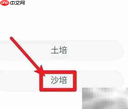 无土栽培蚂蚁新村答案