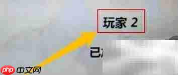 茶杯头2P加入方法
