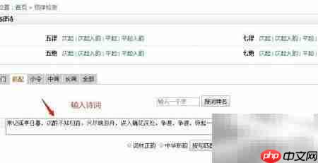 在线检测诗词格律方法