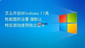 怎么开启windows 11高性能图形设置 强制让特定游戏使用独立显卡