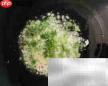 家庭版炒年糕,简单美味