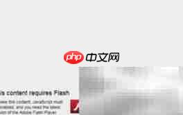 Katalon插件修改浏览器启动