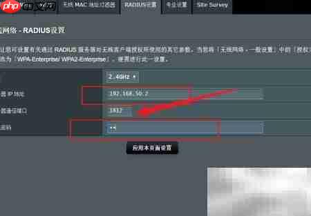 华硕路由器RADIUS设置指南