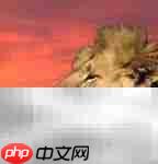 Mask pro 4.1抠图教程