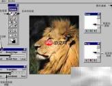 Mask pro 4.1抠图教程