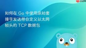 如何在 Go 中使用原始套接字发送带自定义以太网帧头的 TCP 数据包
