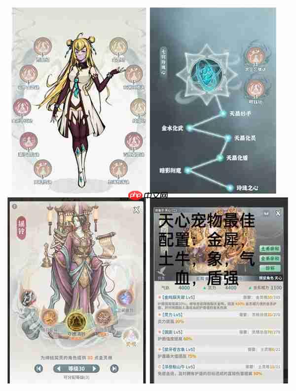 碧海苍云录金队阵容搭配推荐