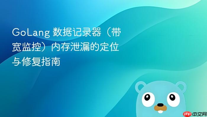 GoLang 数据记录器(带宽监控)内存泄漏的定位与修复指南