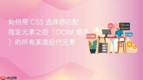 如何用 CSS 选择器匹配指定元素之后(DOM 顺序)的所有某类后代元素