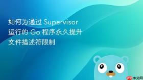 如何为通过 Supervisor 运行的 Go 程序永久提升文件描述符限制