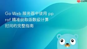 Go Web 服务器中使用 pprof 精准获取函数级计算时间的完整指南