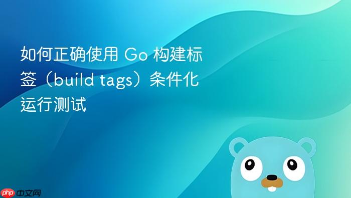 如何正确使用 Go 构建标签(build tags)条件化运行测试