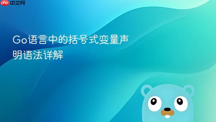 Go语言中的括号式变量声明语法详解
