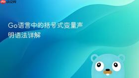 Go语言中的括号式变量声明语法详解
