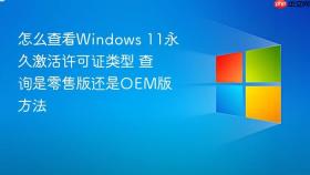 怎么查看windows 11永久激活许可证类型 查询是零售版还是oem版方法